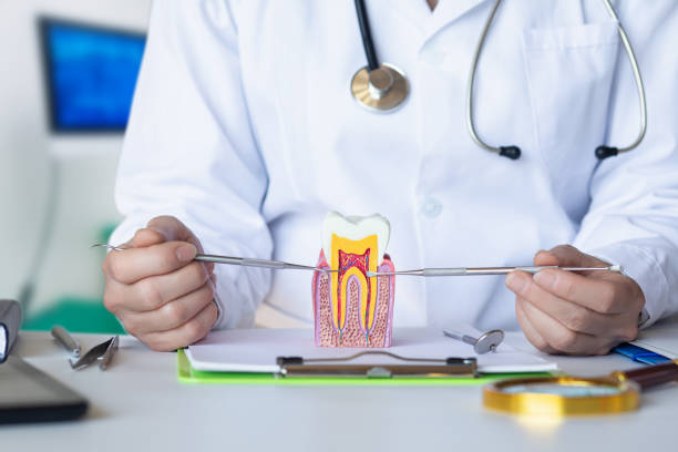 Best Emergency Orthodontic Services in Pinch, WV